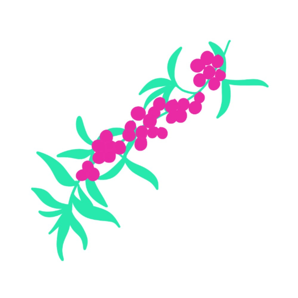 Sea Buckthorn: The Skincare Ingredient That's in Vogue