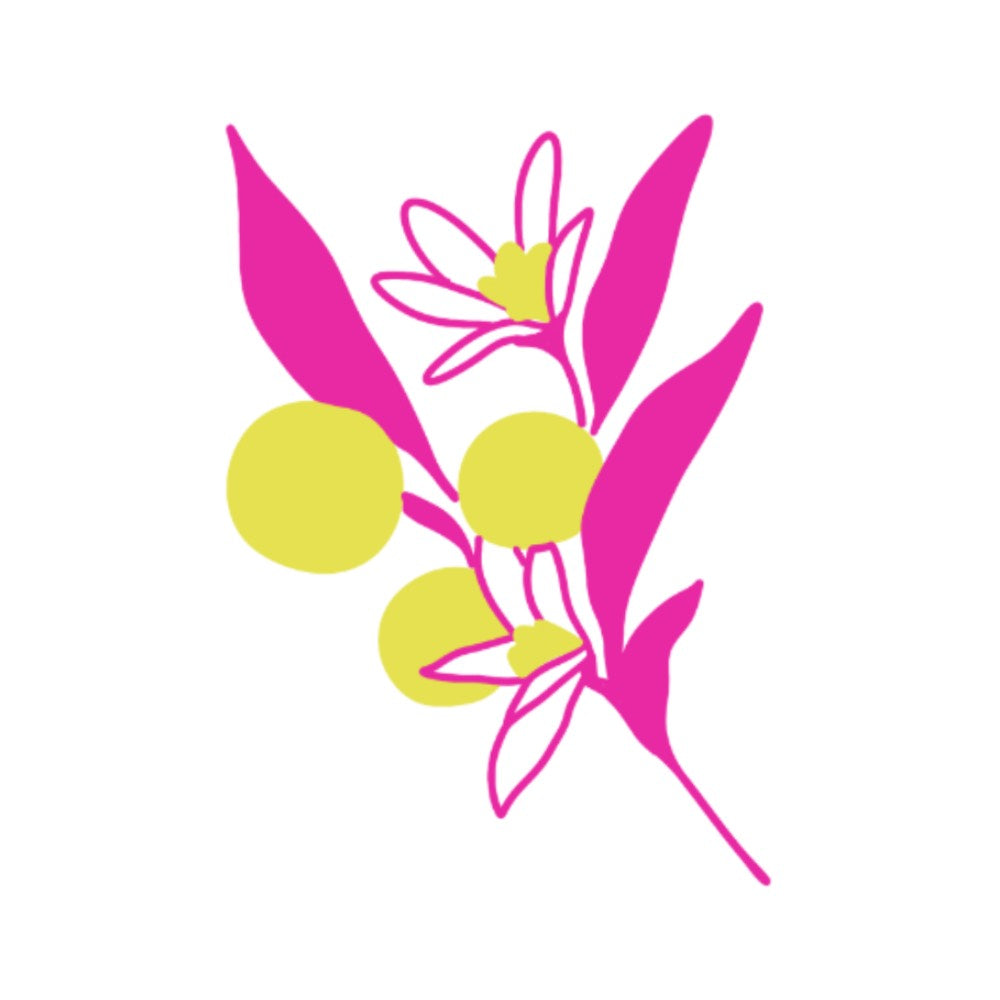 Kakadu Plum: The Superfruit That Powers Active Women